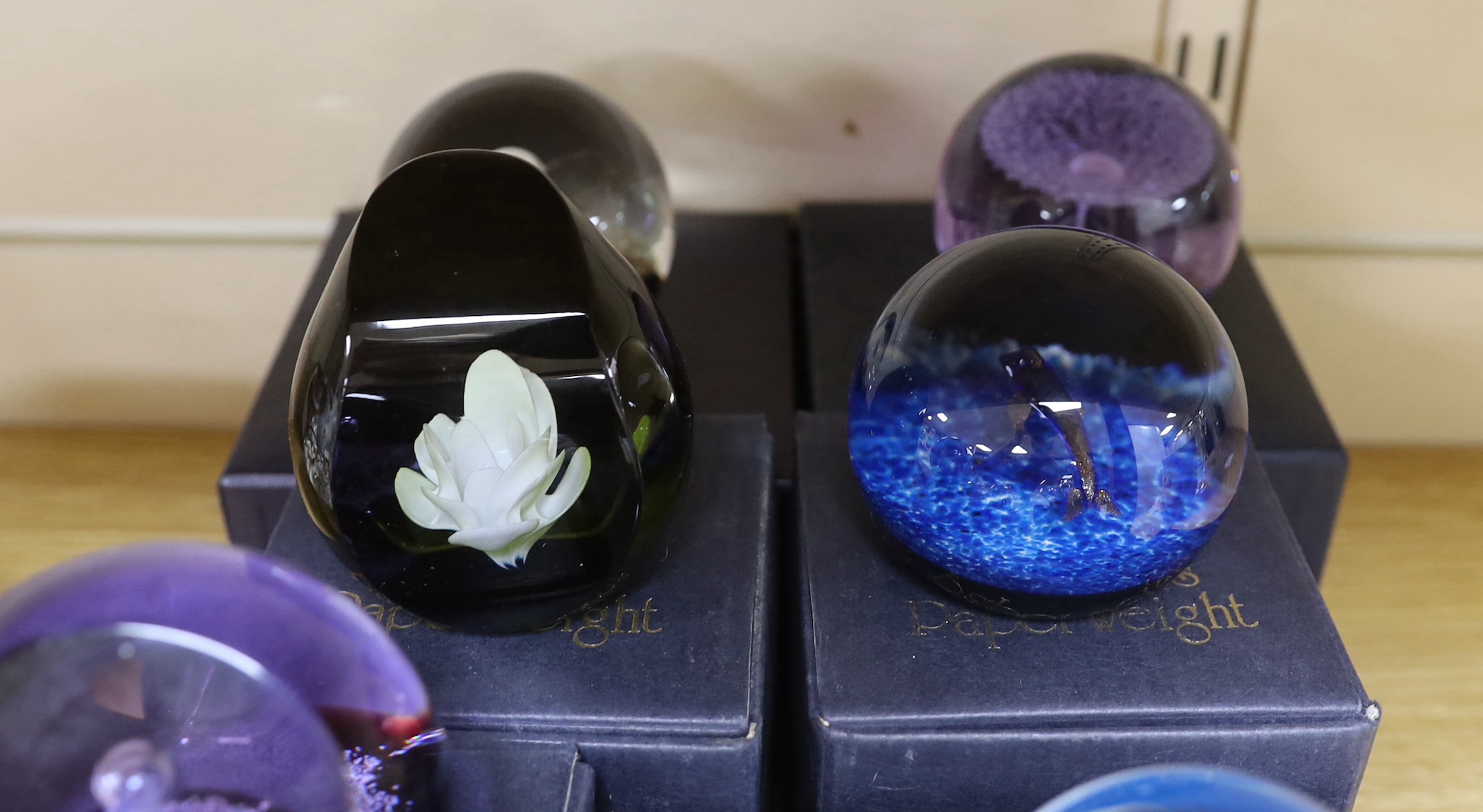 Eight Caithness paperweights, boxed, some limited edition